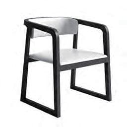 F-06 Leisure Chair