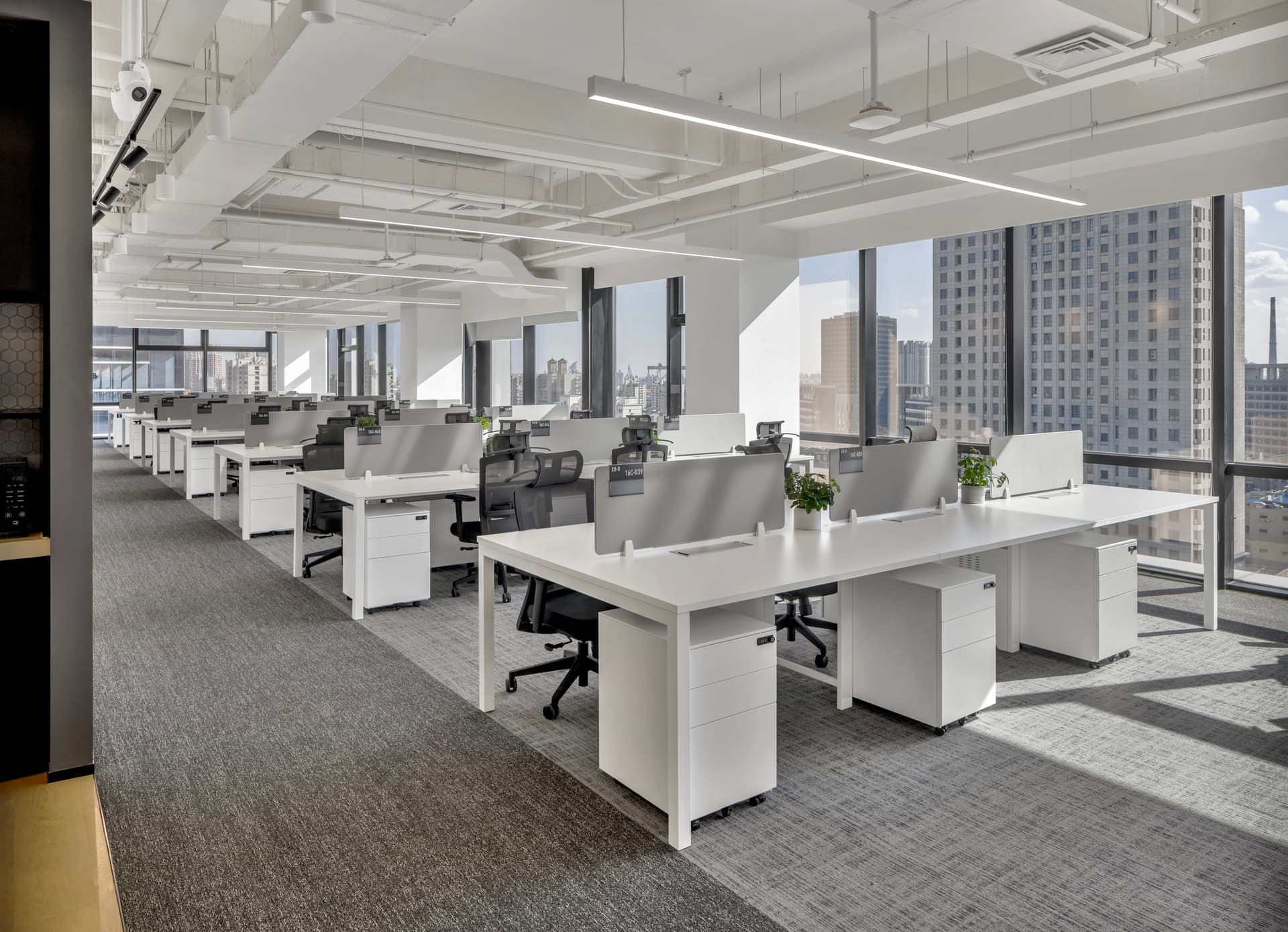 Calm Digital Workplace - 4