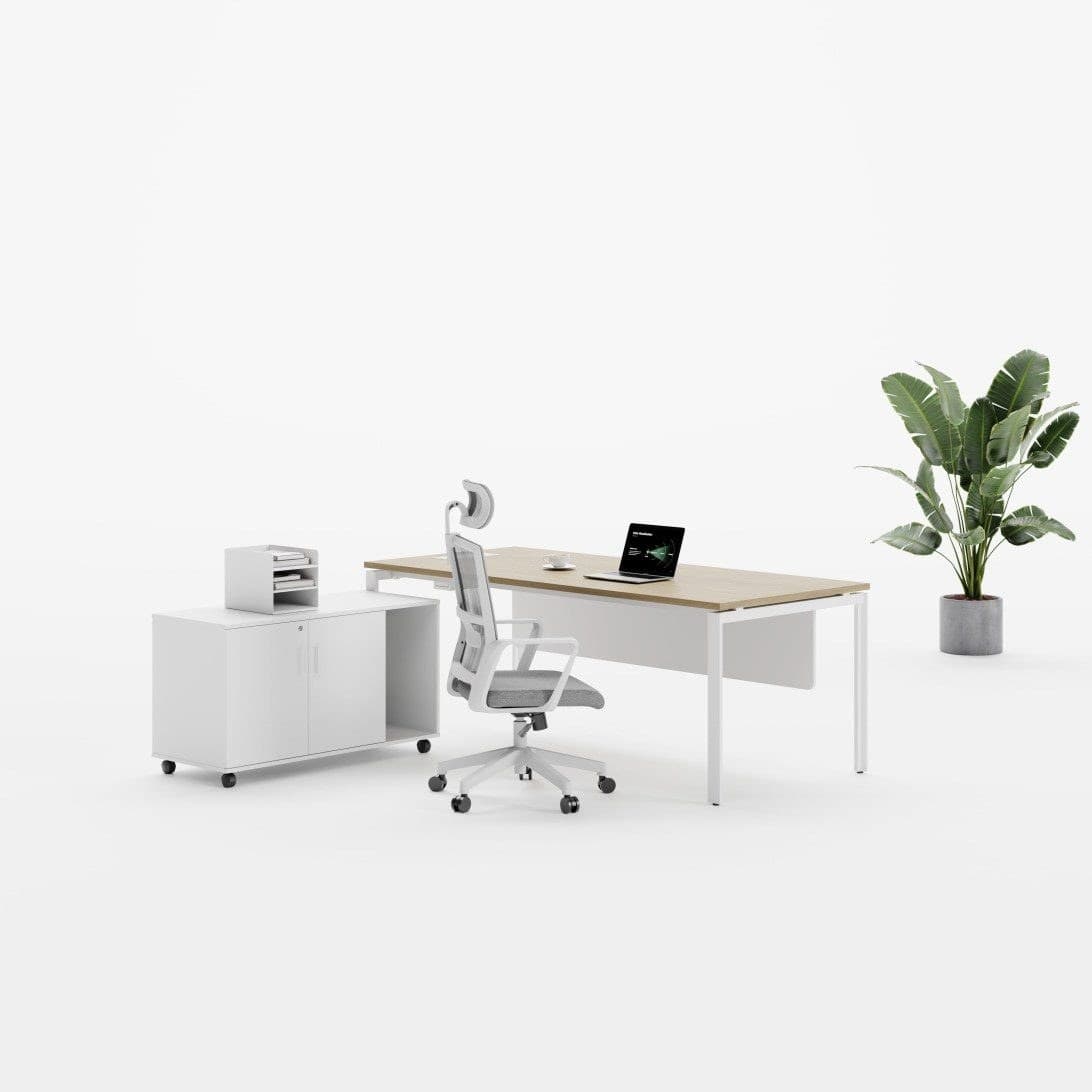 DAV-DD Executive Desk